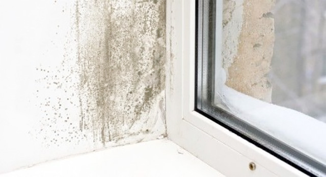 Aplicar Lisomat Anticondensación en torno a las ventanas - Bricopared